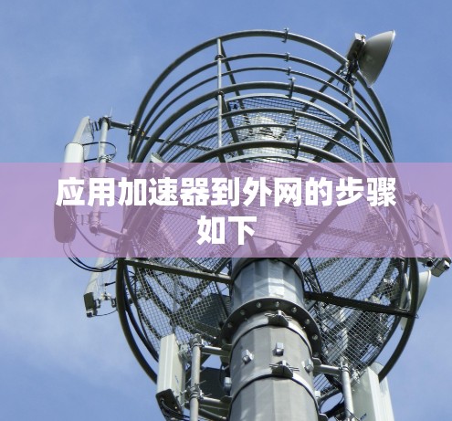 应用加速器到外网的步骤如下