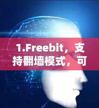1.Freebit，支持翻墙模式，可以在设置中选择翻墙，加速器会自动翻墙