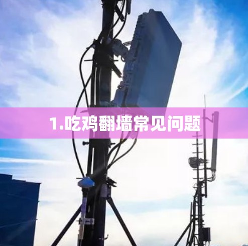 1.吃鸡翻墙常见问题