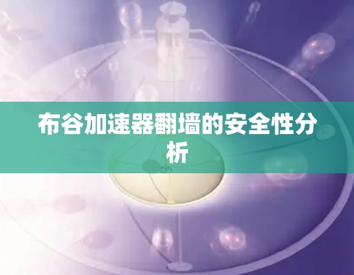 布谷加速器翻墙的安全性分析