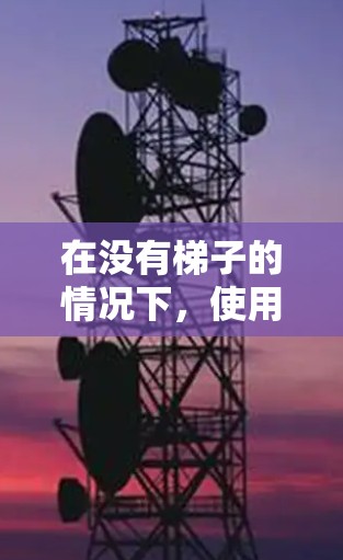 在没有梯子的情况下，使用梯子结构（即梯子在这里指的是搬运工具）来搬运物品是一个有效的解决方案，尤其适用于在潮湿或有风的环境中。以下是一些免费的推荐资源，帮助您在没有梯子的情况下有效地使用梯子结构