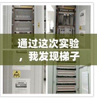 通过这次实验，我发现梯子加速器的设计和使用需要考虑多个因素，包括倾斜角度、物体重量分布以及支撑装置的稳定性。通过逐步优化这些因素，可以有效提高梯子的加速效果。以下是对这次实验的总结和改进