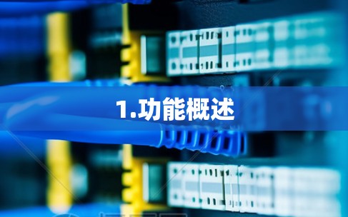 1.功能概述