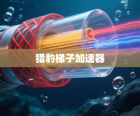 猎豹梯子加速器