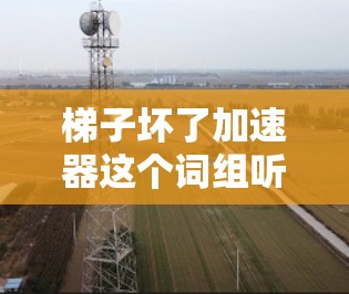 梯子坏了加速器这个词组听起来有点奇怪，可能是一个误写或者误解。如果是想使用梯子来代替某个加速器的部件，或者想用梯子来模拟某种加速过程，可能需要更多的上下文信息来解释清楚