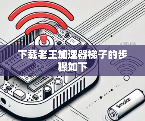 下载老王加速器梯子的步骤如下