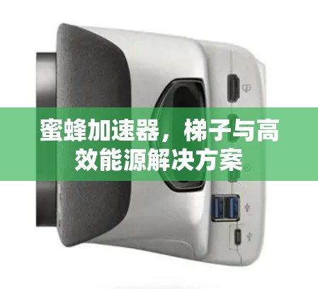 蜜蜂加速器，梯子与高效能源解决方案