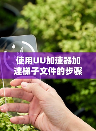 使用UU加速器加速梯子文件的步骤如下