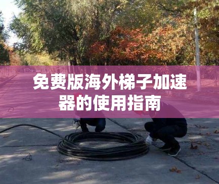 免费版海外梯子加速器的使用指南