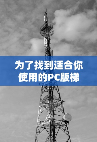 为了找到适合你使用的PC版梯子加速器工具，以下是分步骤的建议