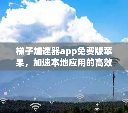 梯子加速器app免费版苹果，加速本地应用的高效选择