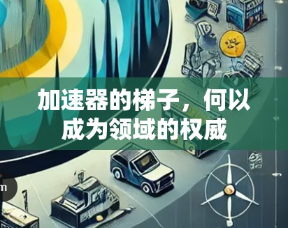 加速器的梯子，何以成为领域的权威
