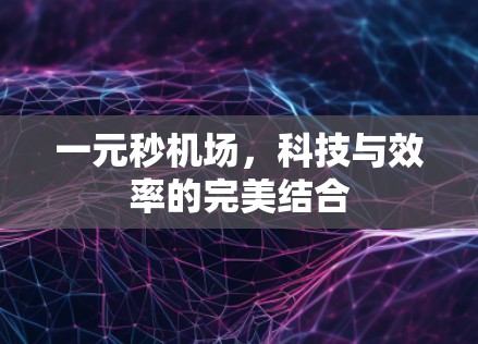 一元秒机场，科技与效率的完美结合