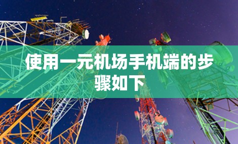 使用一元机场手机端的步骤如下