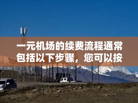 一元机场的续费流程通常包括以下步骤，您可以按照以下步骤进行操作