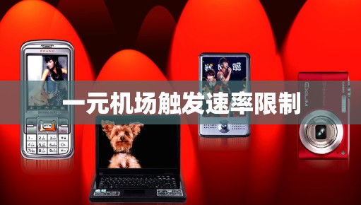 一元机场触发速率限制