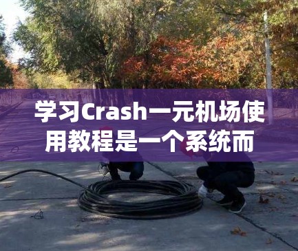 学习Crash一元机场使用教程是一个系统而逐步的过程，需要耐心和持续的努力。以下是详细的步骤指南，帮助你顺利完成学习