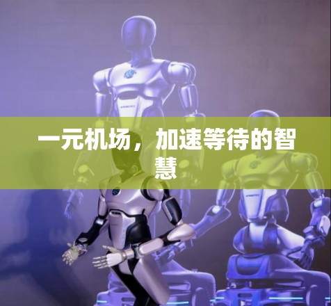 一元机场,加速等待的智慧 一元机场,加速等待的智慧