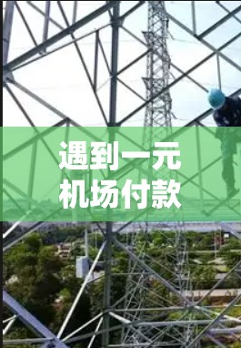 遇到一元机场付款后没有反应的问题，通常可能有以下几种原因和解决方法