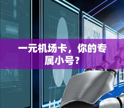一元机场卡，你的专属小号？