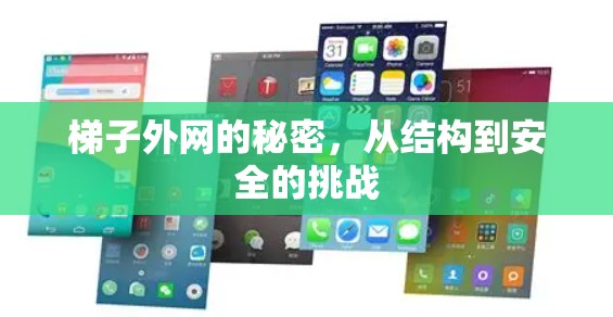 梯子外网的秘密，从结构到安全的挑战