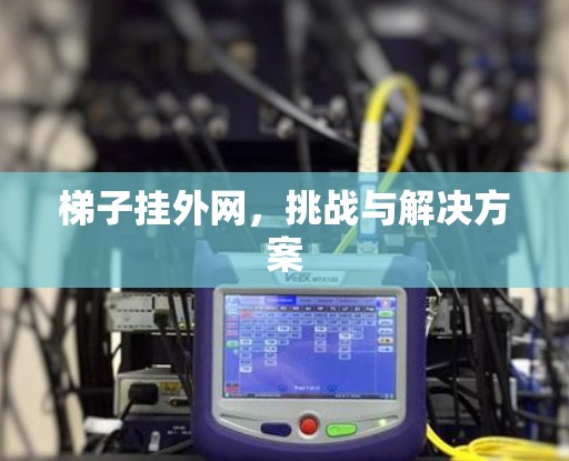 梯子挂外网，挑战与解决方案