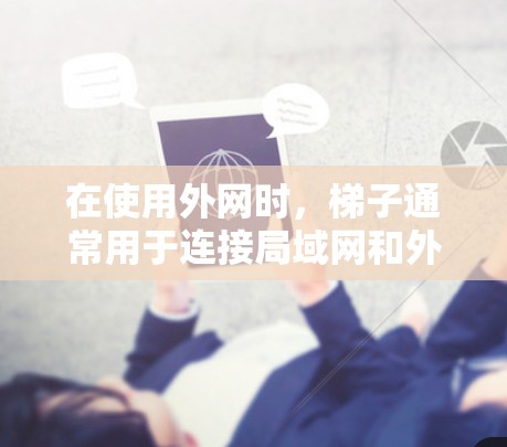 在使用外网时，梯子通常用于连接局域网和外部局域网，配置如下
