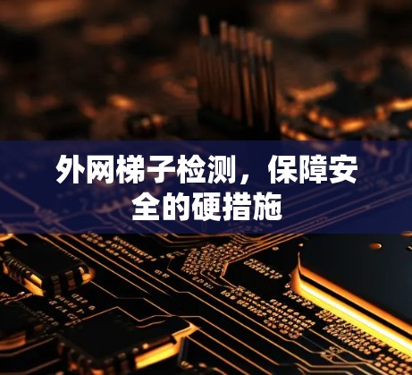 外网梯子检测，保障安全的硬措施