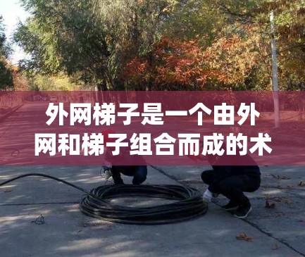 外网梯子是一个由外网和梯子组合而成的术语,通常指的是用于连接外部网络与内部网络的工具或系统。以下是对此术语的详细解释 外网梯子是一个由外网和梯子组合而成的术语,通常指的是用于连接外部网络与内部网络的工具或系统。以下是对此术语的详细解释