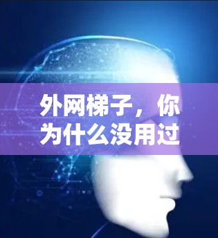 外网梯子，你为什么没用过？它能帮你省下一大笔钱！