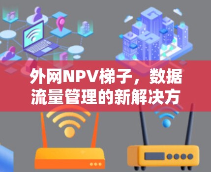 外网NPV梯子，数据流量管理的新解决方案