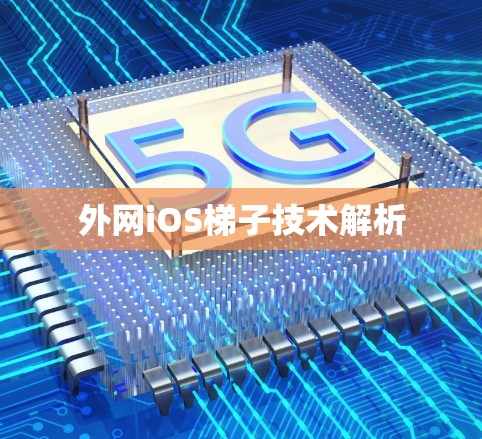 外网iOS梯子技术解析