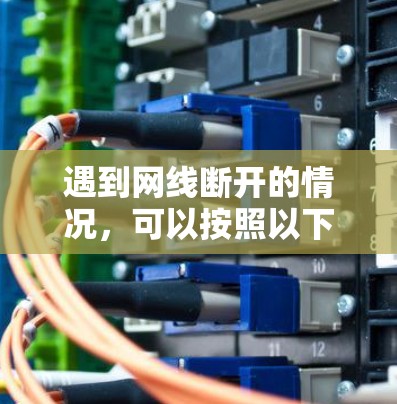 遇到网线断开的情况，可以按照以下步骤处理