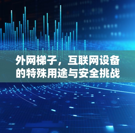 外网梯子，互联网设备的特殊用途与安全挑战