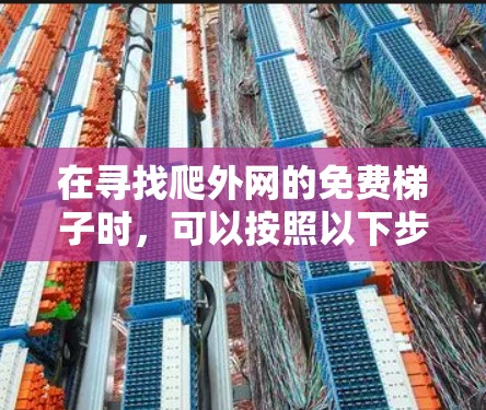在寻找爬外网的免费梯子时，可以按照以下步骤进行