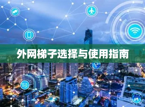 外网梯子选择与使用指南