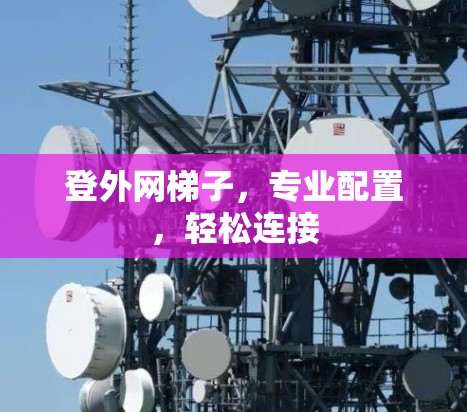 登外网梯子，专业配置，轻松连接