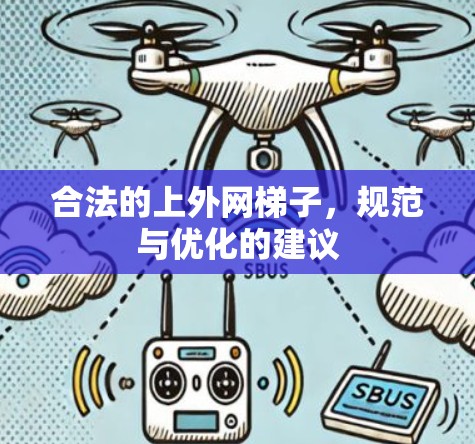 合法的上外网梯子，规范与优化的建议