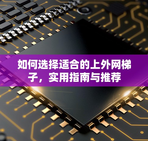 如何选择适合的上外网梯子，实用指南与推荐