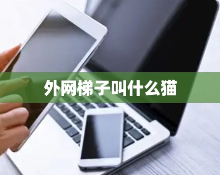 外网梯子叫什么猫