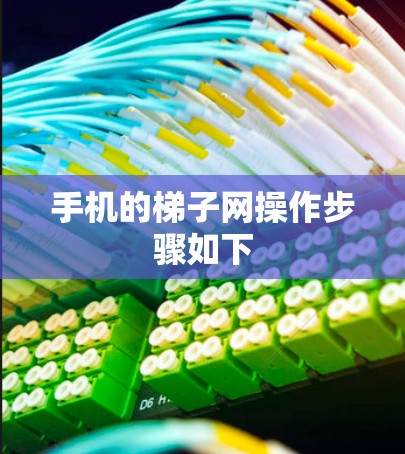 手机的梯子网操作步骤如下