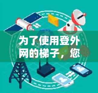为了使用登外网的梯子，您可以按照以下步骤进行操作