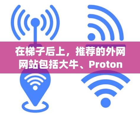 在梯子后上，推荐的外网网站包括大牛、Proton和Zygo，以及一些主要社交平台的用户账号。以下是具体的推荐