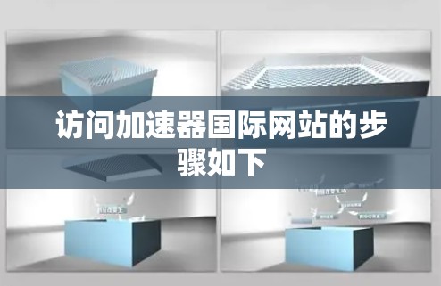 访问加速器国际网站的步骤如下