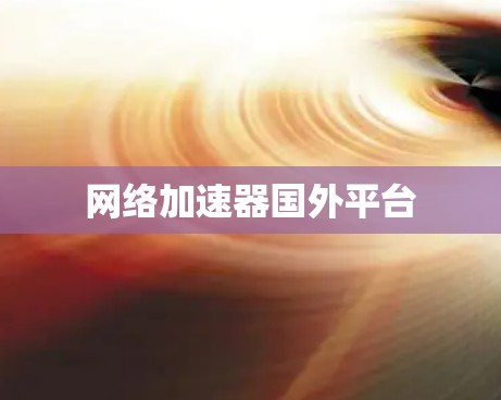 网络加速器国外平台