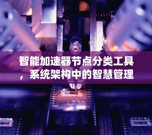 智能加速器节点分类工具，系统架构中的智慧管理