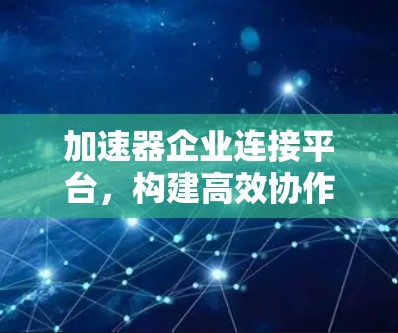 加速器企业连接平台，构建高效协作的数字连接网络