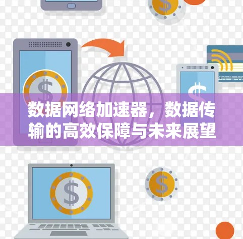 数据网络加速器，数据传输的高效保障与未来展望