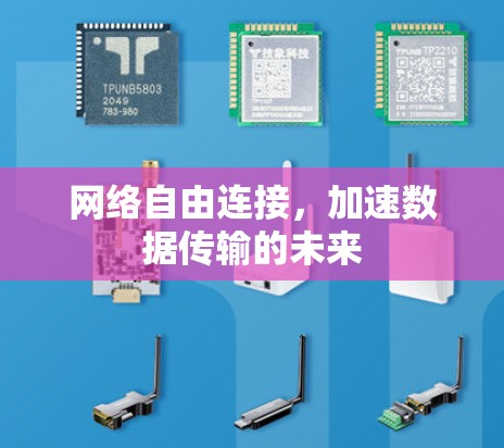 网络自由连接，加速数据传输的未来