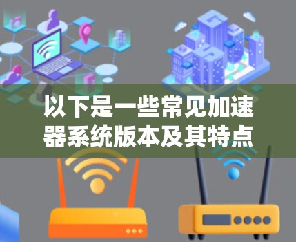 以下是一些常见加速器系统版本及其特点
